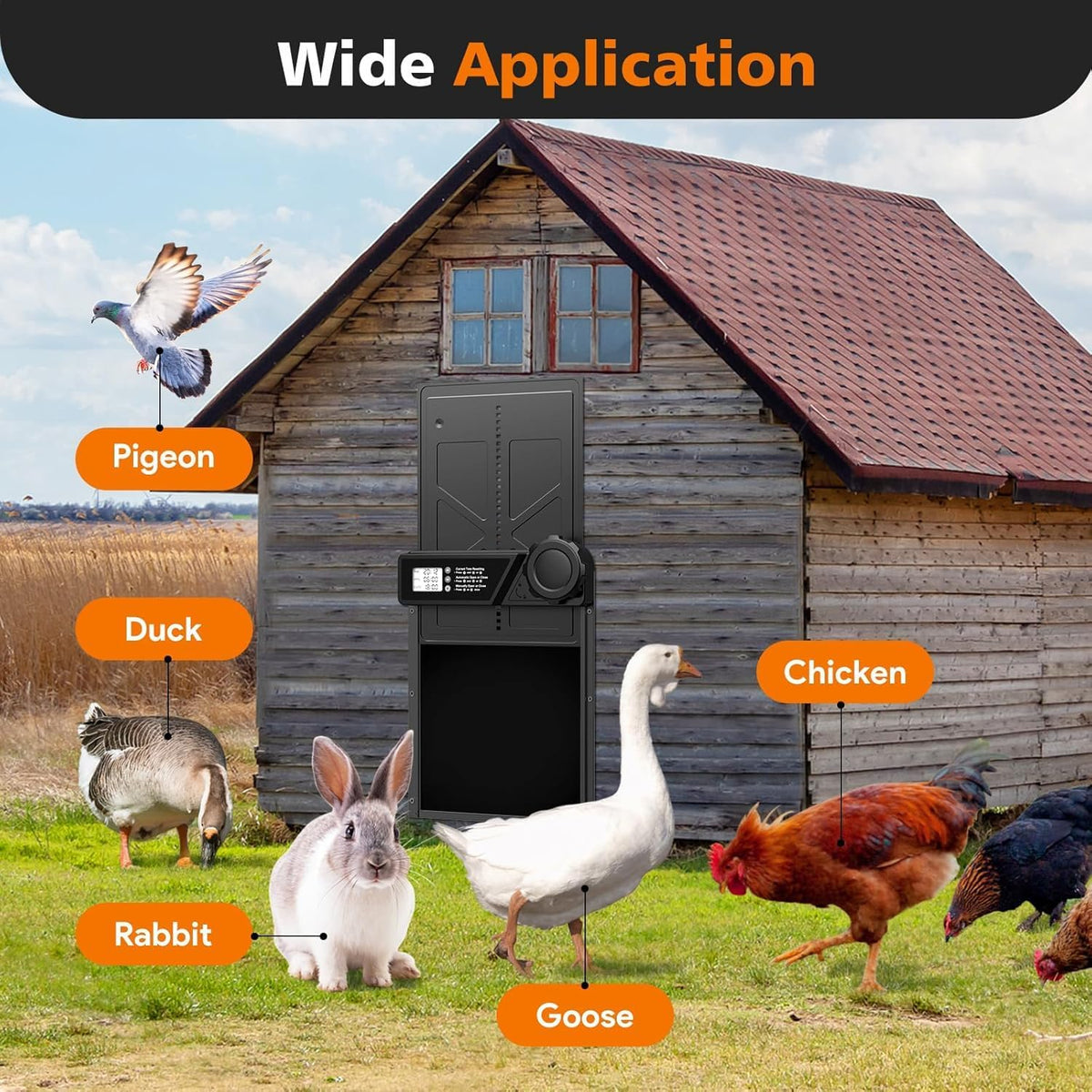 Solar Automatic Chicken Coop Door with Timer, Light Sensor, Remote Control, Anti-Pinch,