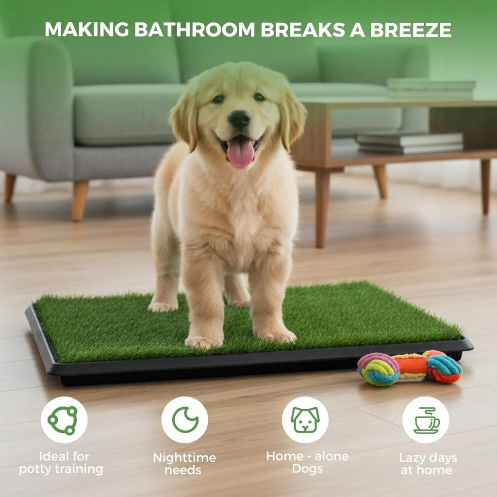 3-Layer Dog Grass Potty Pad with Tray – Indoor & Outdoor