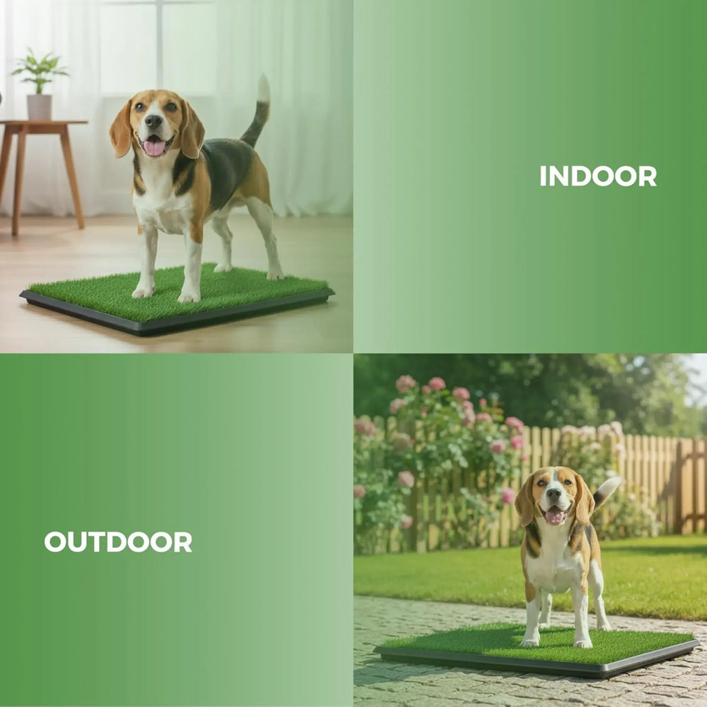3-Layer Dog Grass Potty Pad with Tray – Indoor & Outdoor
