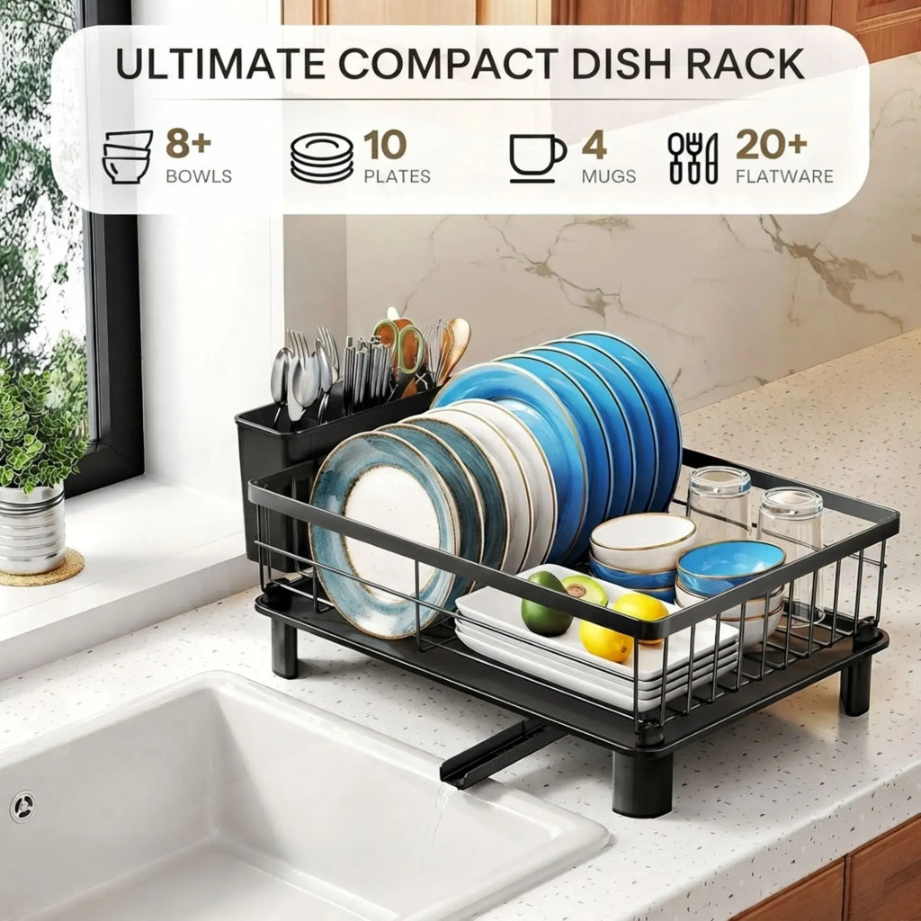Dish Drying Rack with Drainboard & Utensil Holder for Kitchen (Black)