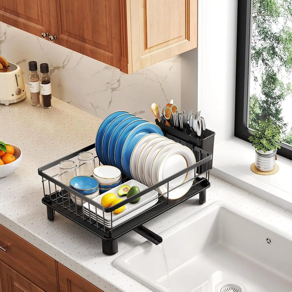 Dish Drying Rack with Drainboard & Utensil Holder for Kitchen (Black)