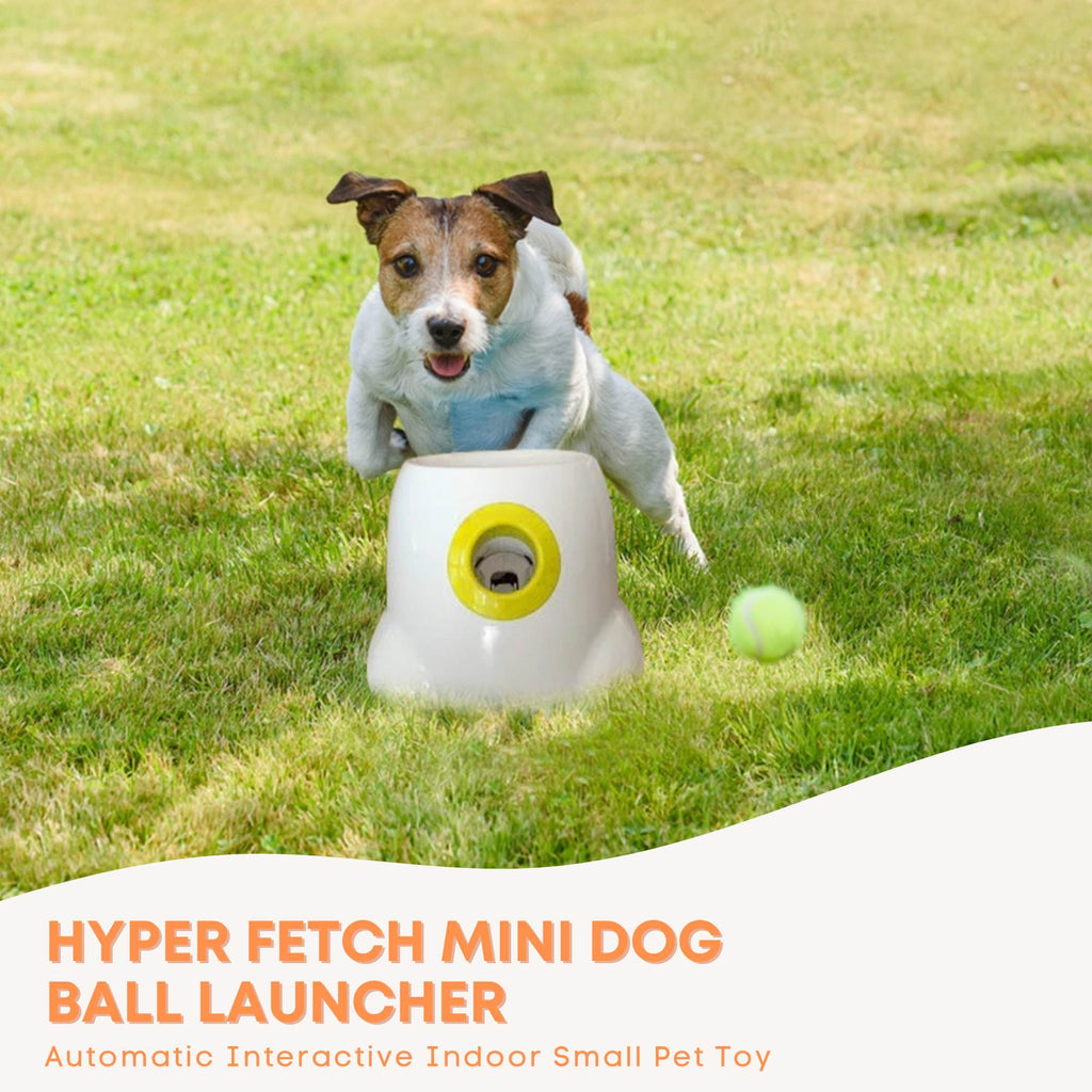 Mini Dog Ball Launcher - Automatic Interactive Indoor Small Pet Toy