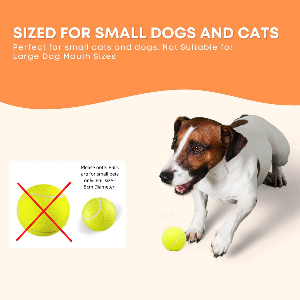 Mini Dog Ball Launcher - Automatic Interactive Indoor Small Pet Toy