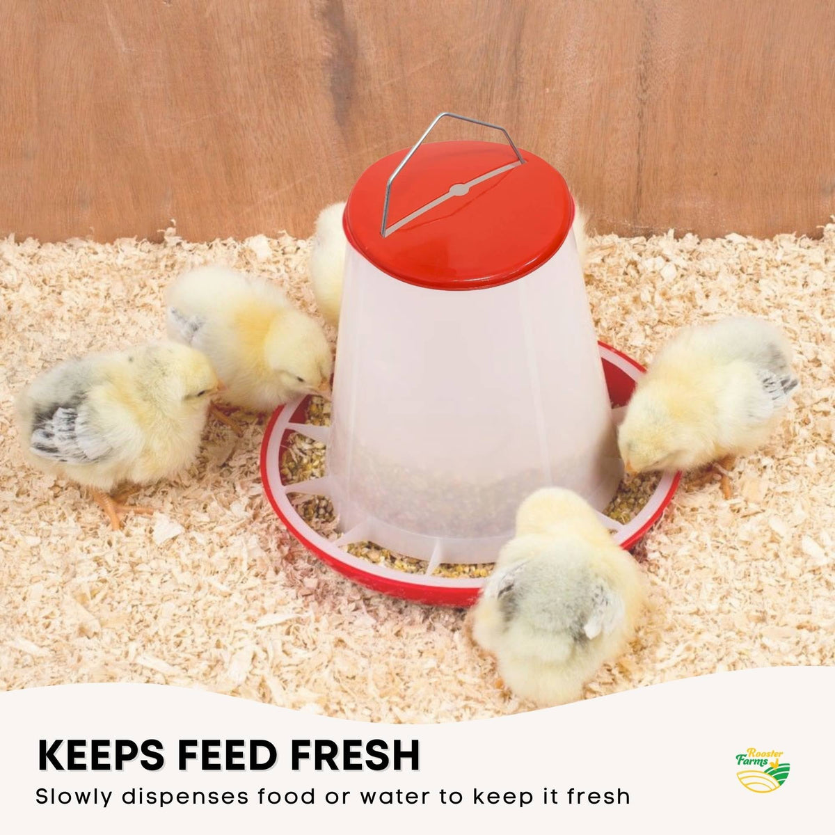 9Kg Automatic Chicken Feeder - Poultry Hen Feeding Seed Bucket