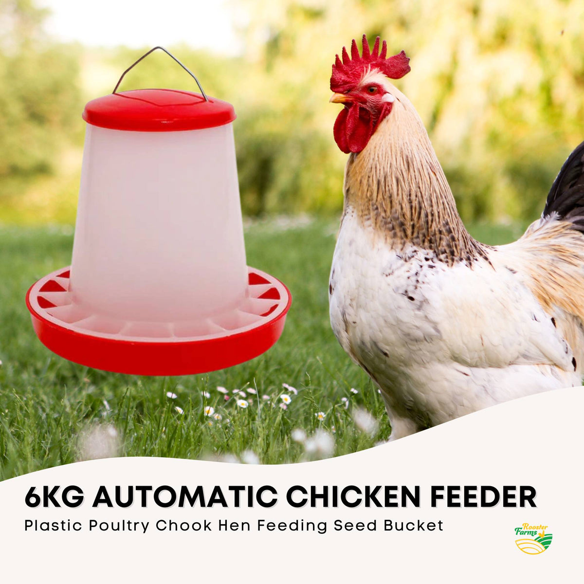 6Kg Automatic Chicken Feeder - Poultry Hen Feeding Seed Bucket