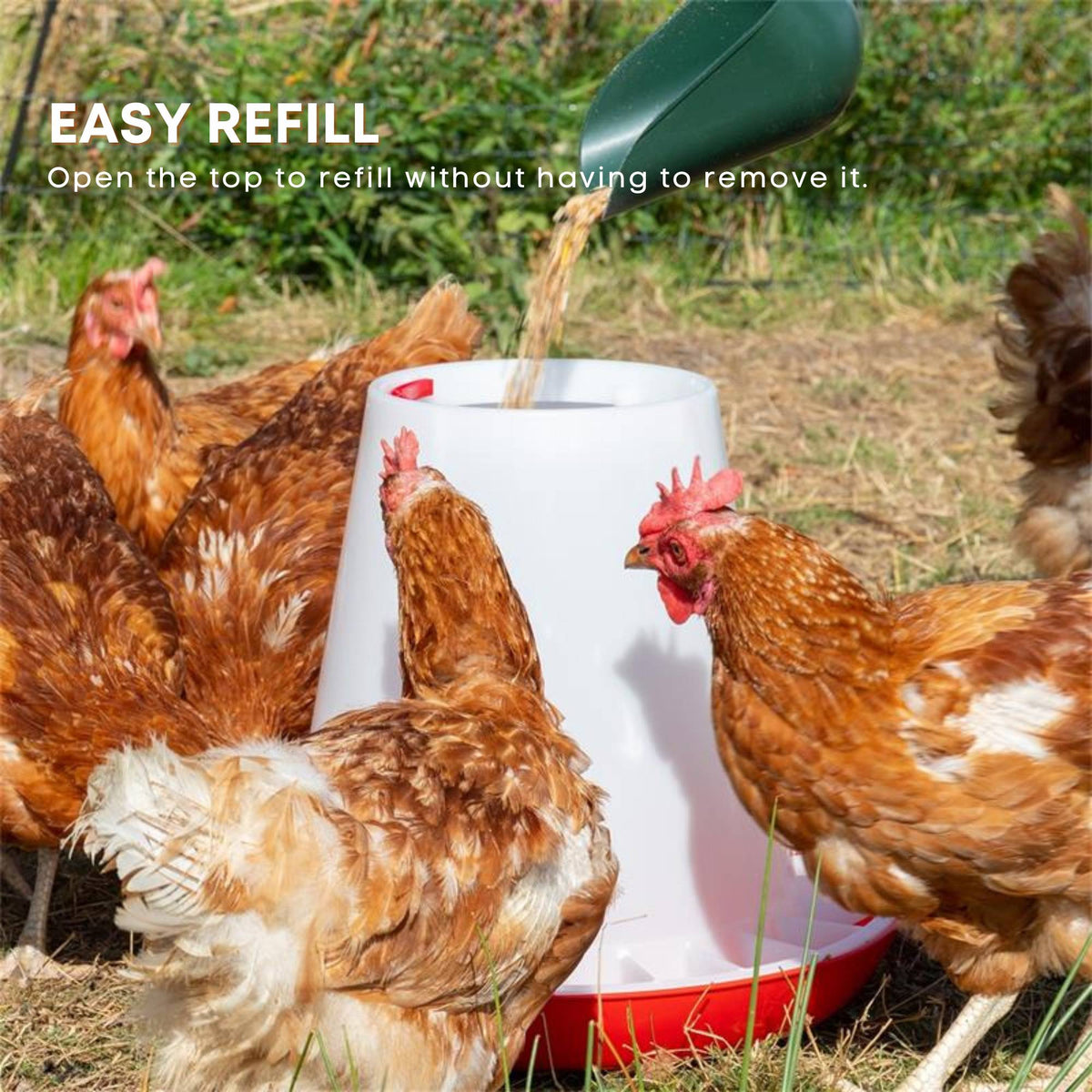 6Kg Automatic Chicken Feeder - Poultry Hen Feeding Seed Bucket