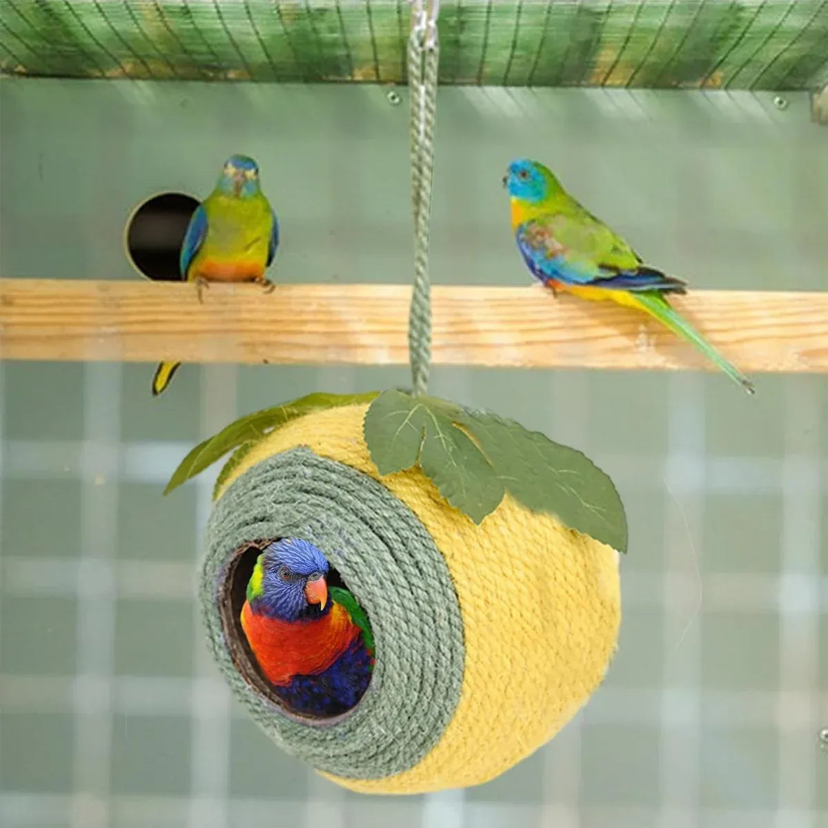 Bird Nest Parrot Nest Coconut Shell Braided Twine Colourful Cage Hanging Bed -