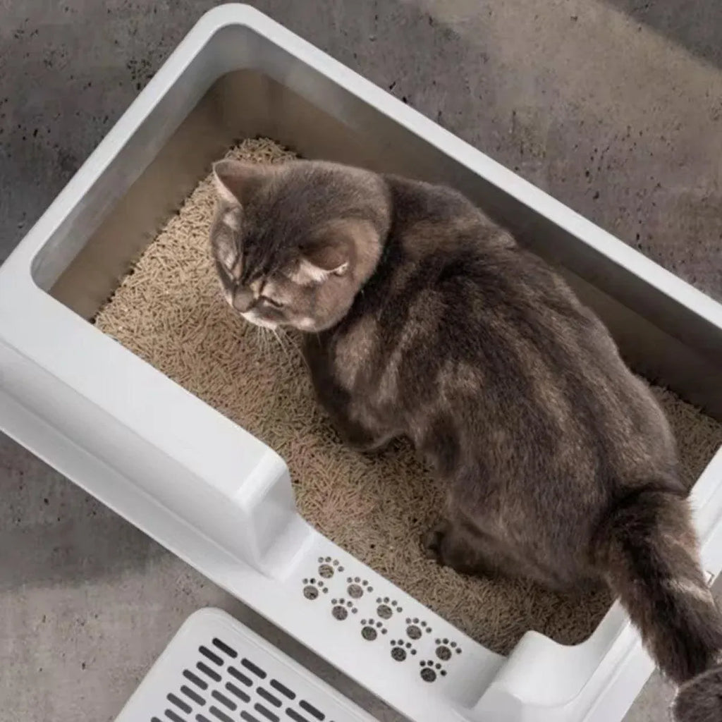 5-Piece Cat Litter Box Set – Grey