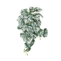 Artificial White & Green Monstera Albo Variegata 45cm